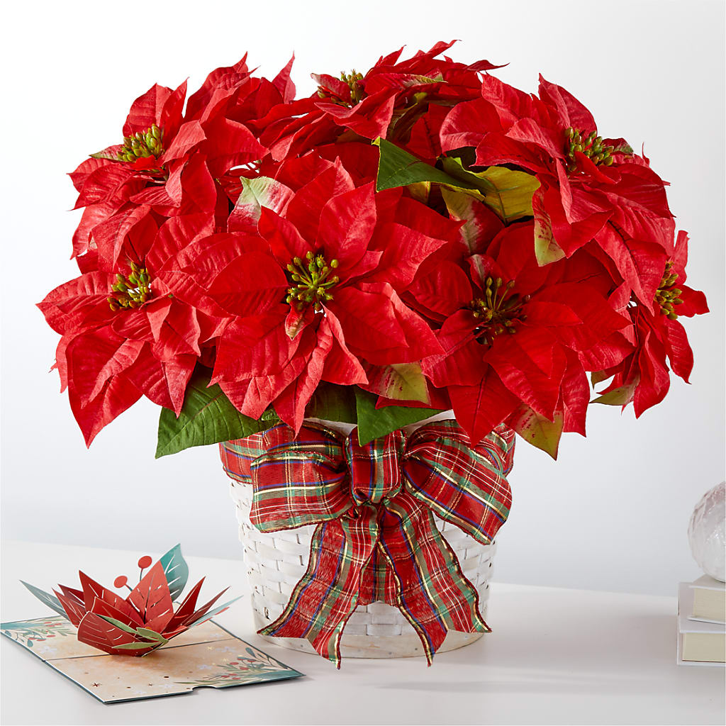 Happiest Holidays Poinsettia and Lovepop Card – Blossom Street Florist, Lauderhill FL