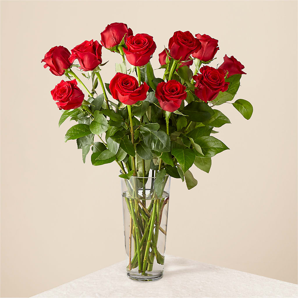 Long Stem Red Rose Bouquet – Blossom Street Florist, Lauderhill FL