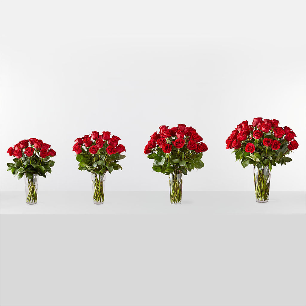 Long Stem Red Rose Bouquet – Blossom Street Florist, Lauderhill FL