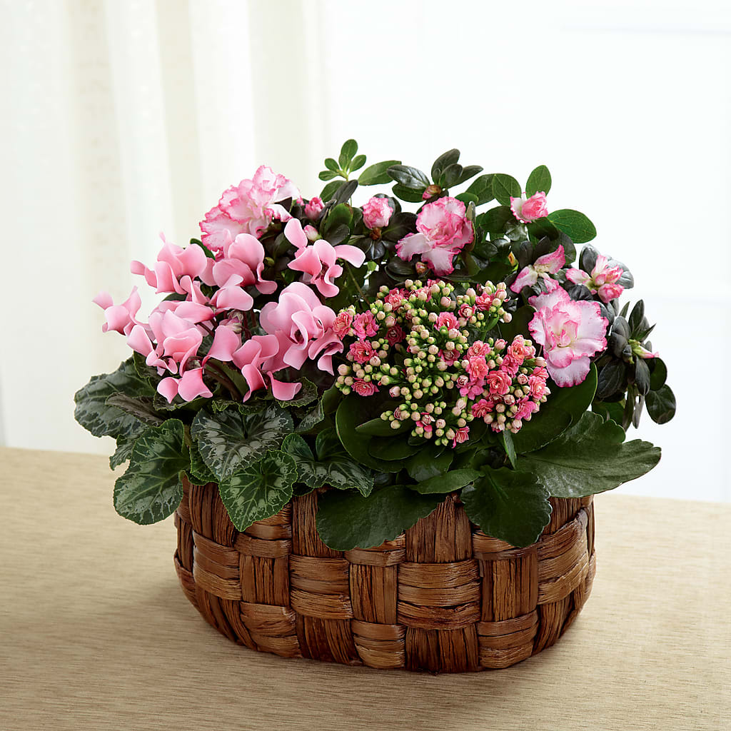 Pink Assortment – Blossom Street Florist, Lauderhill FL