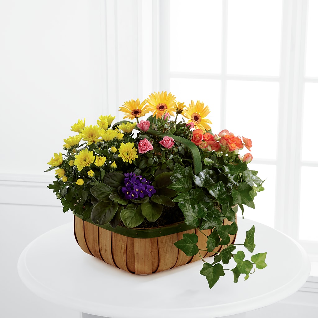 Gentle Blossoms Basket – Blossom Street Florist, Lauderhill FL