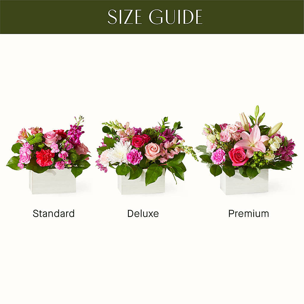 Sweetberry Box – A Florist Original – Blossom Street Florist, Lauderhill FL