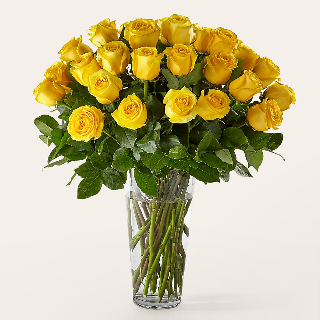 Long Stem Yellow Rose Bouquet – Blossom Street Florist, Lauderhill FL