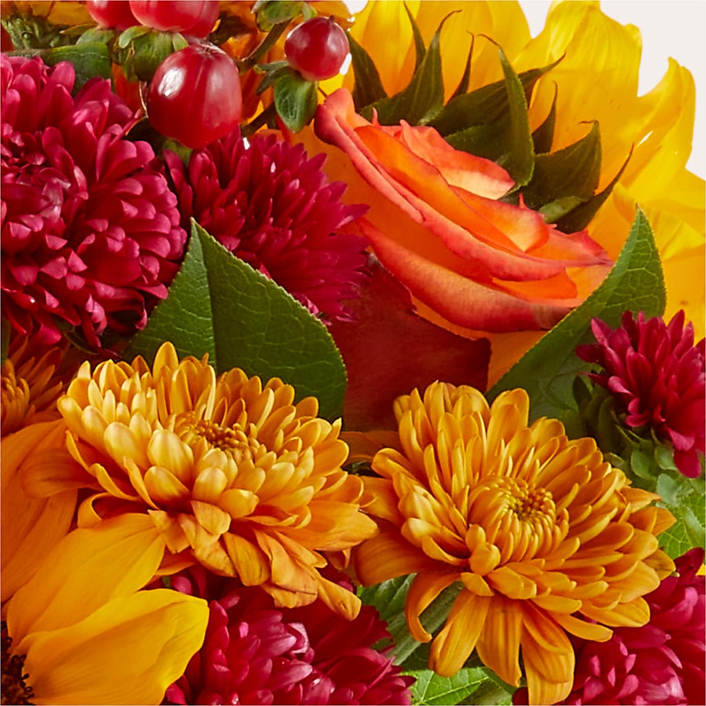 Sweater Season - A Florist Original – Blossom Street Florist, Lauderhill FL