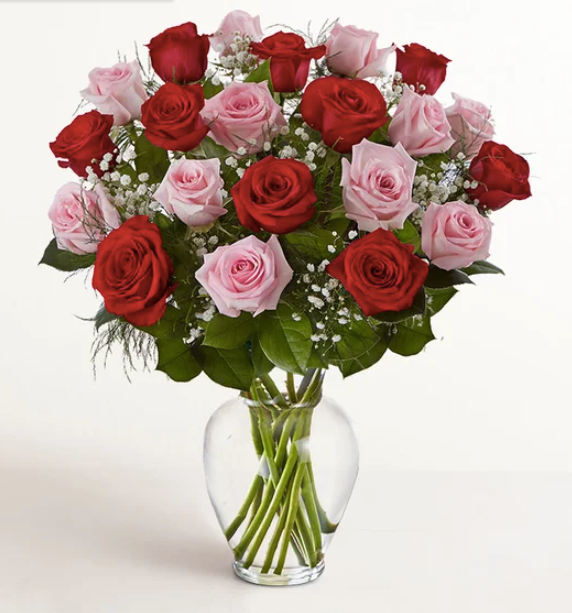 Long Stem Pink + Red Roses – Blossom Street Florist, Lauderhill FL