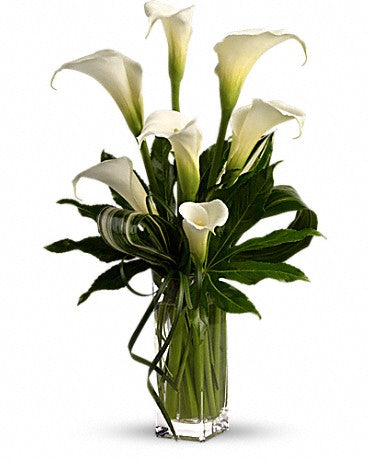 My Fair Lady – Blossom Street Florist, Lauderhill FL