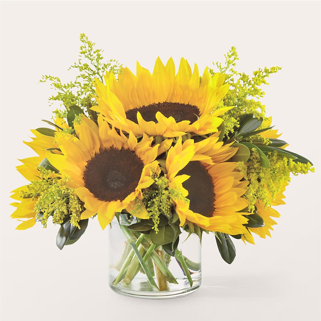 Beaming Sunflower Bouquet – Blossom Street Florist, Lauderhill FL