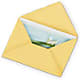 Greeting Card – Blossom Street Florist, Lauderhill FL