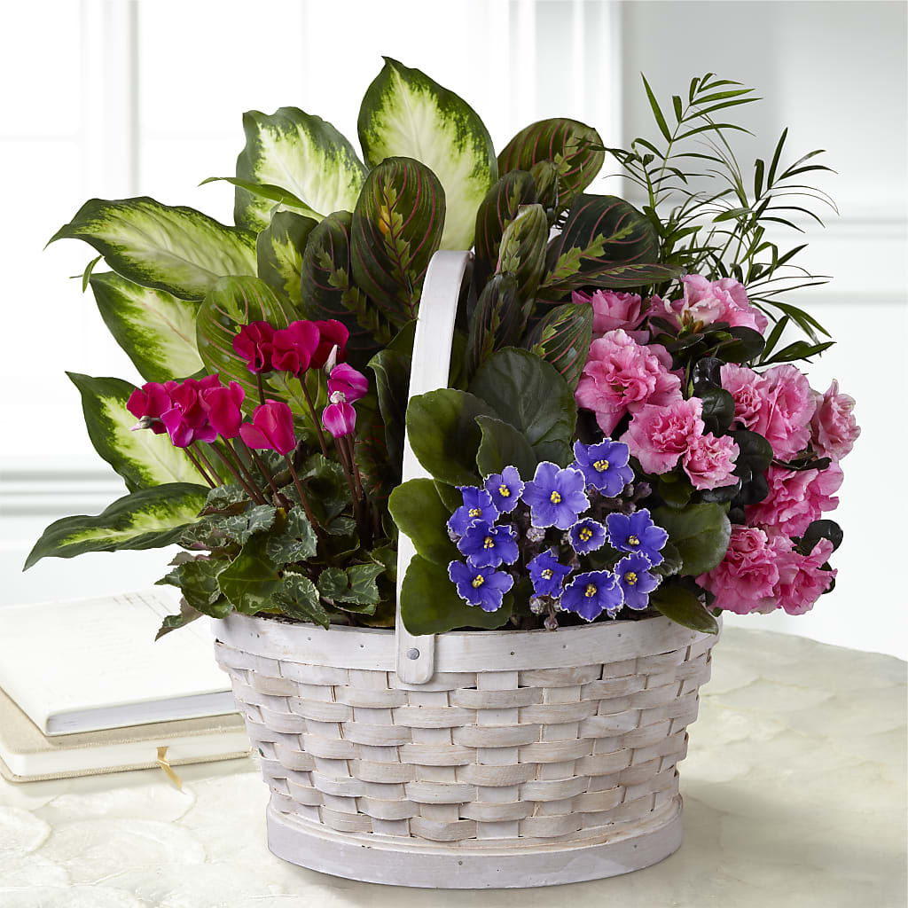 Peaceful Garden Planter – Blossom Street Florist, Lauderhill FL