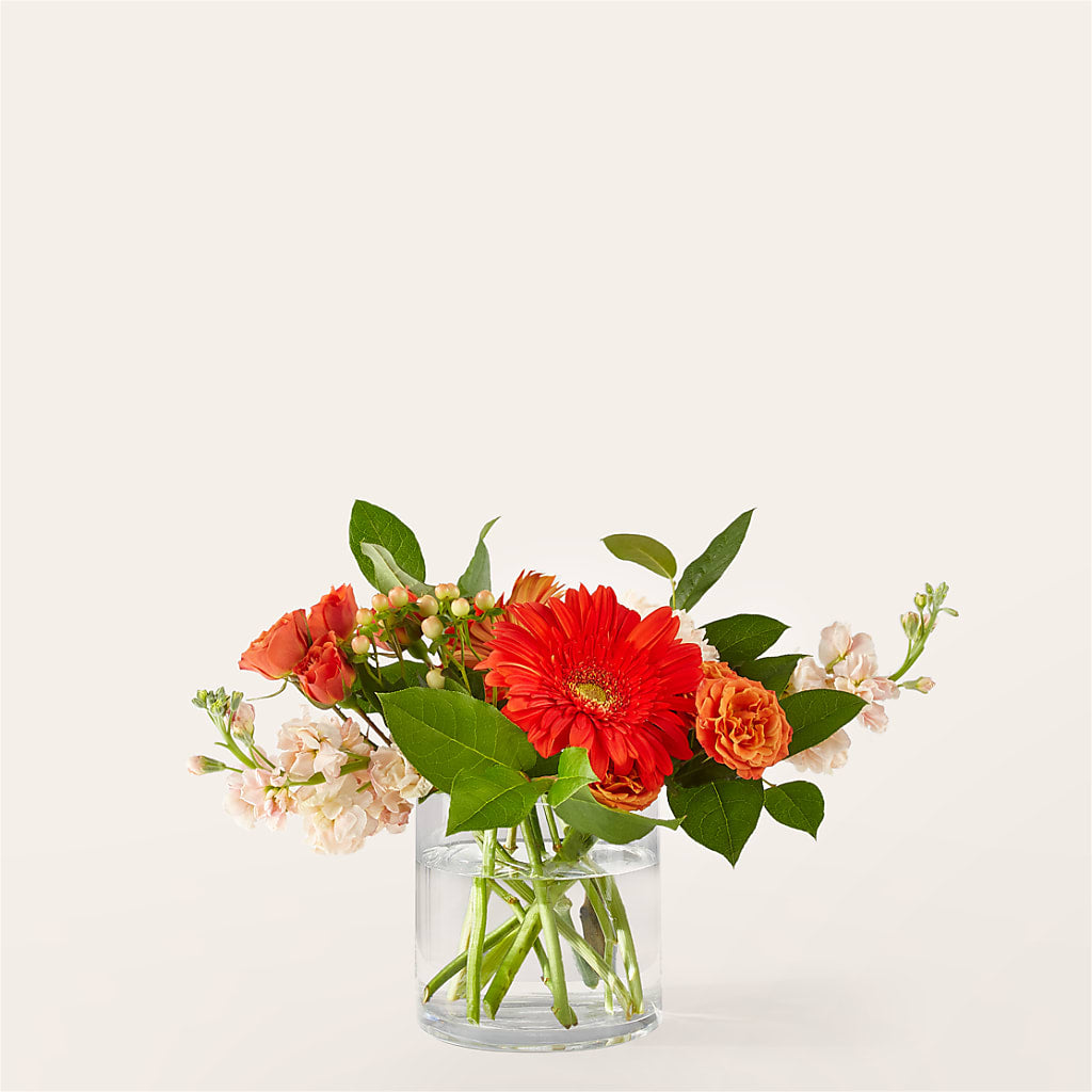 Paloma Please Bouquet – Blossom Street Florist, Lauderhill FL