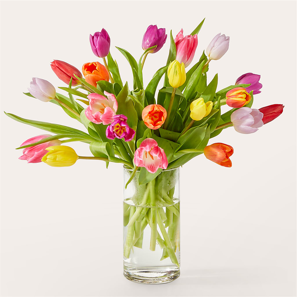 Let's Talk Tulips Bouquet – Blossom Street Florist, Lauderhill FL