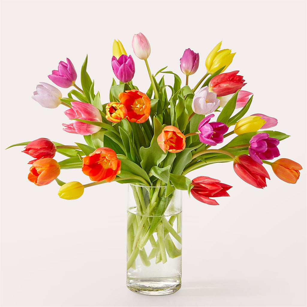 Let's Talk Tulips Bouquet – Blossom Street Florist, Lauderhill FL