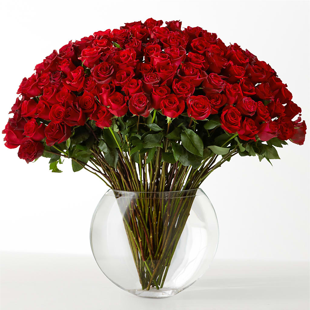 The Idealist – Blossom Street Florist, Lauderhill FL