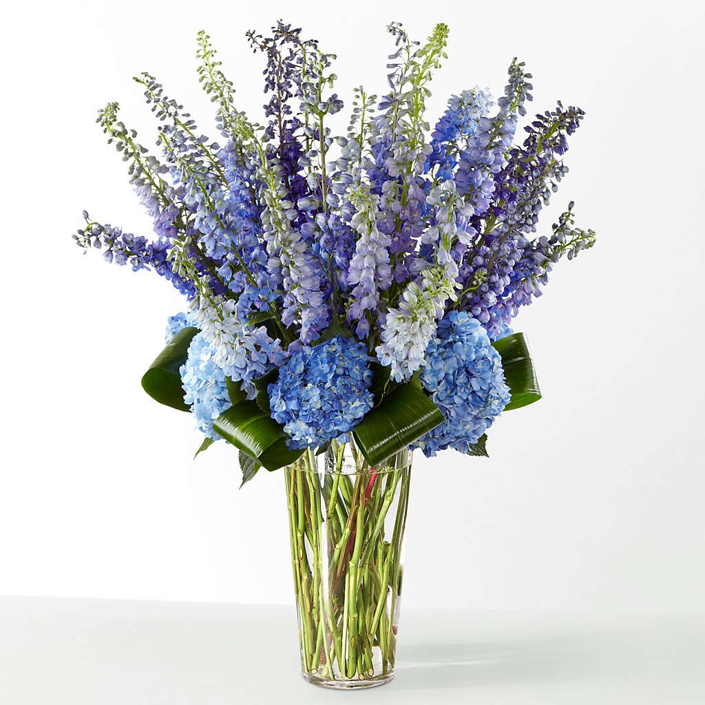 The Editorial – Blossom Street Florist, Lauderhill FL