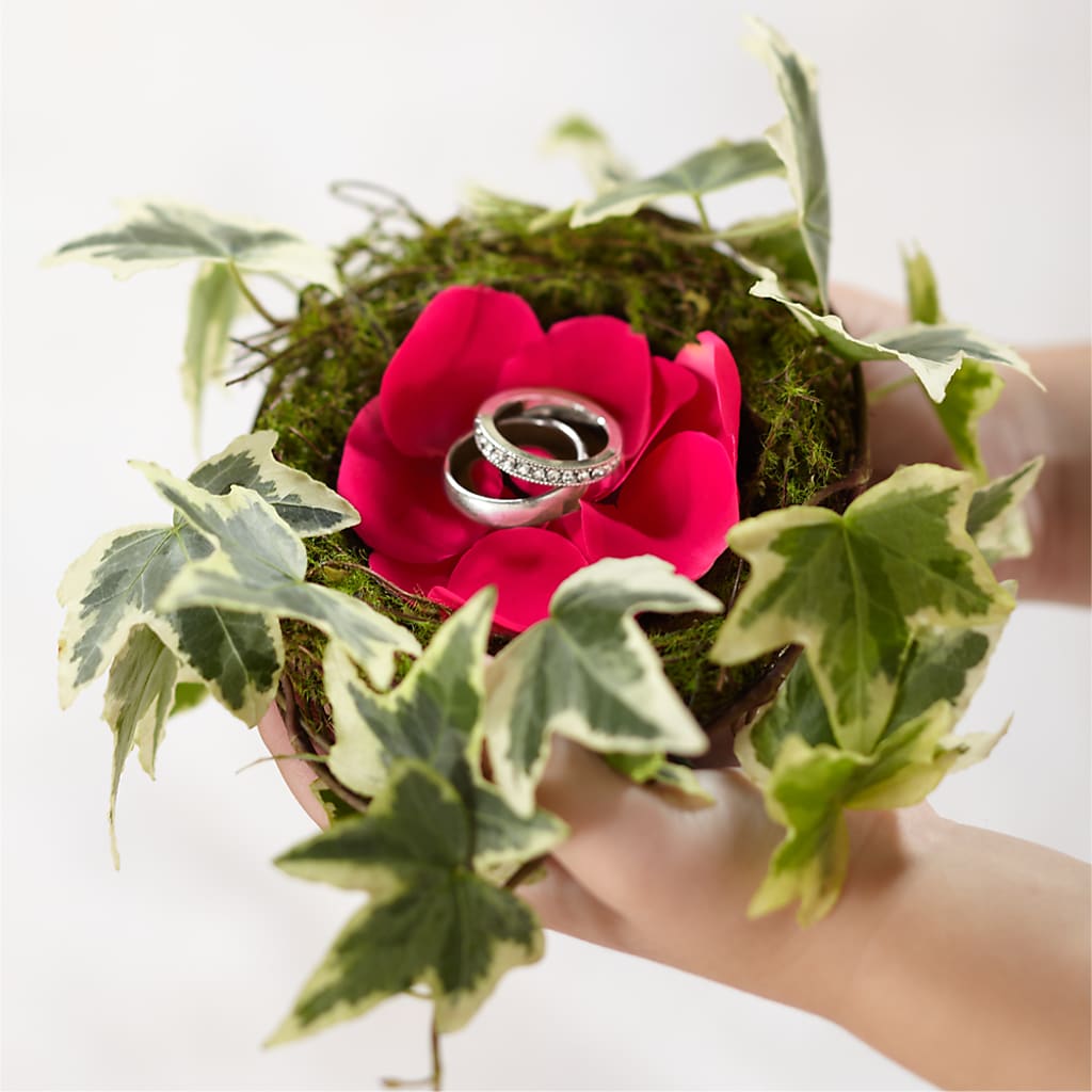 Lila Rose Ring Nest – Blossom Street Florist, Lauderhill FL