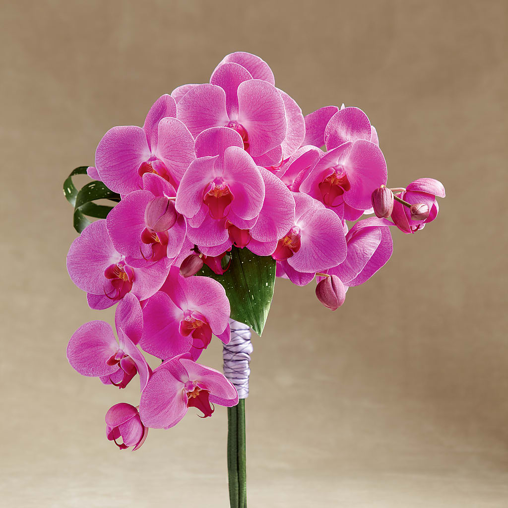Glorious Bouquet – Blossom Street Florist, Lauderhill FL