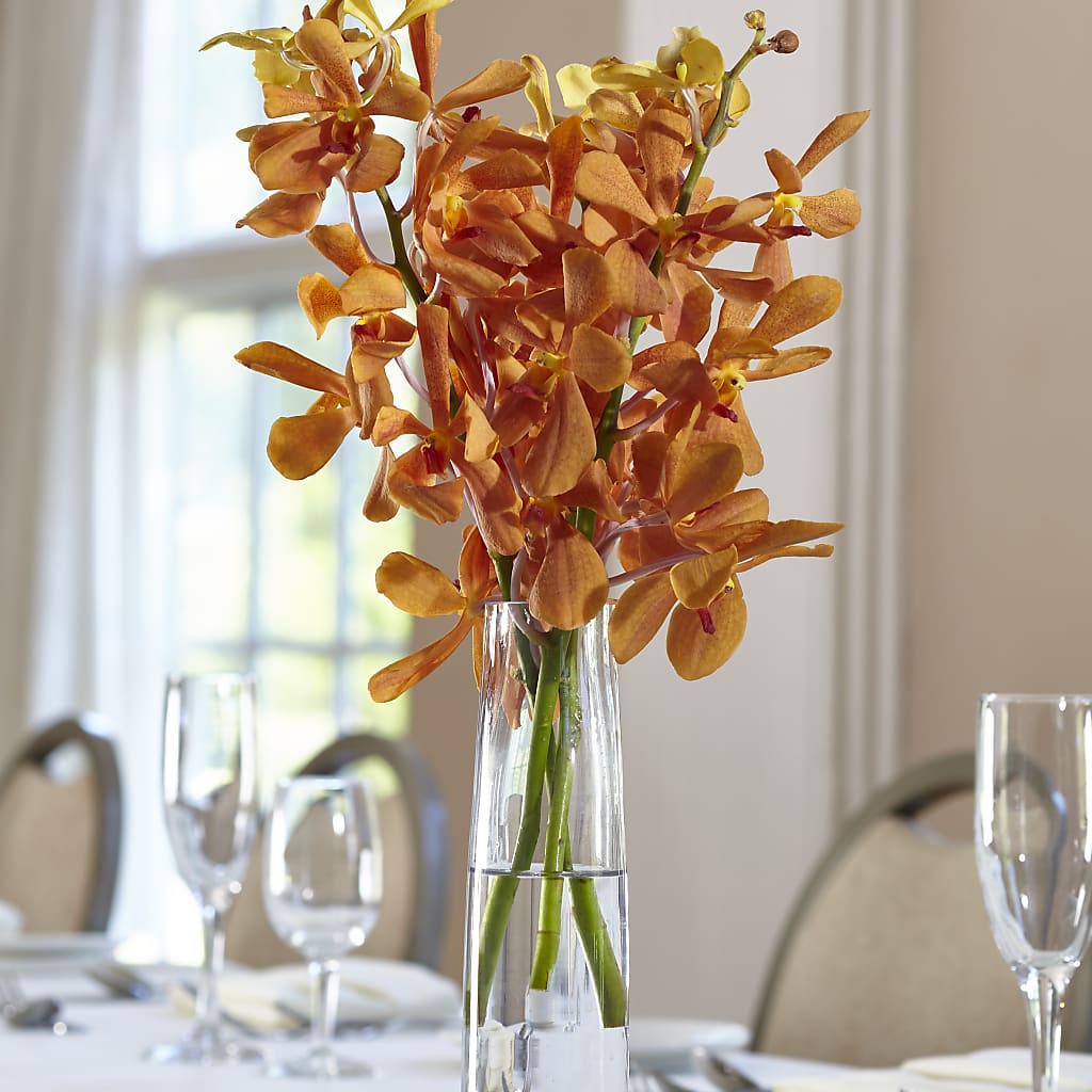 Orange Mokara Bud Vase – Blossom Street Florist, Lauderhill FL