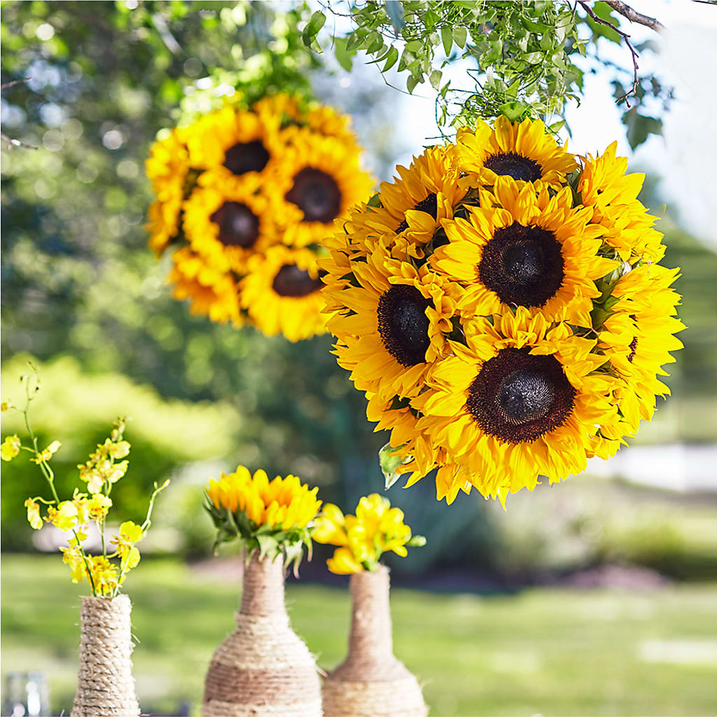 Sublime Garden Hanging Arrangement – Blossom Street Florist, Lauderhill FL
