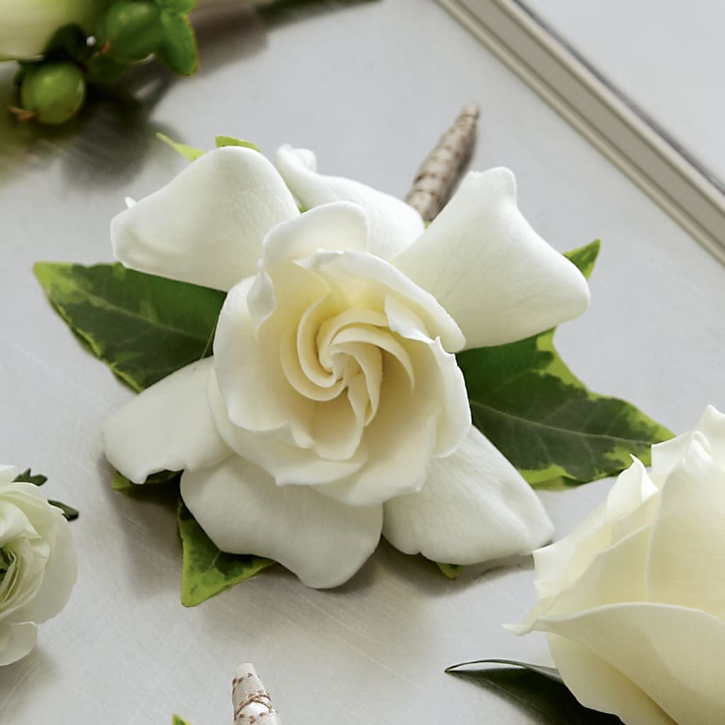 Gardenia Boutonniere – Blossom Street Florist, Lauderhill FL