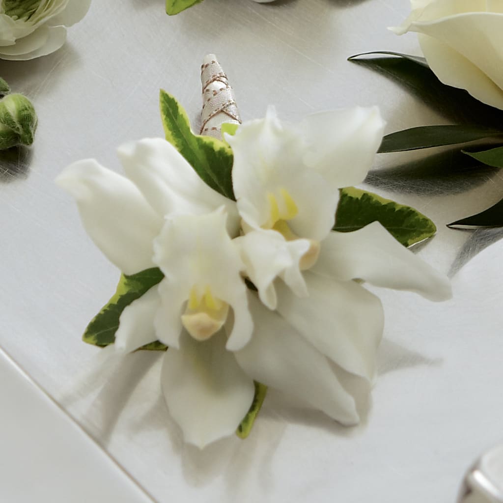 White Mini Cymbidium Boutonniere – Blossom Street Florist, Lauderhill FL