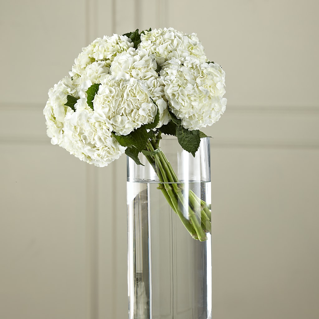 White Hydrangea Hand-Tied Bouquet – Blossom Street Florist, Lauderhill FL