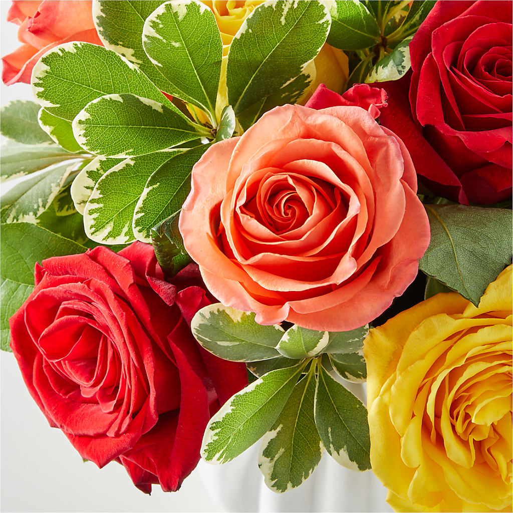 Gourd of Gratitude –  Blossom Street Florist, Lauderhill FL