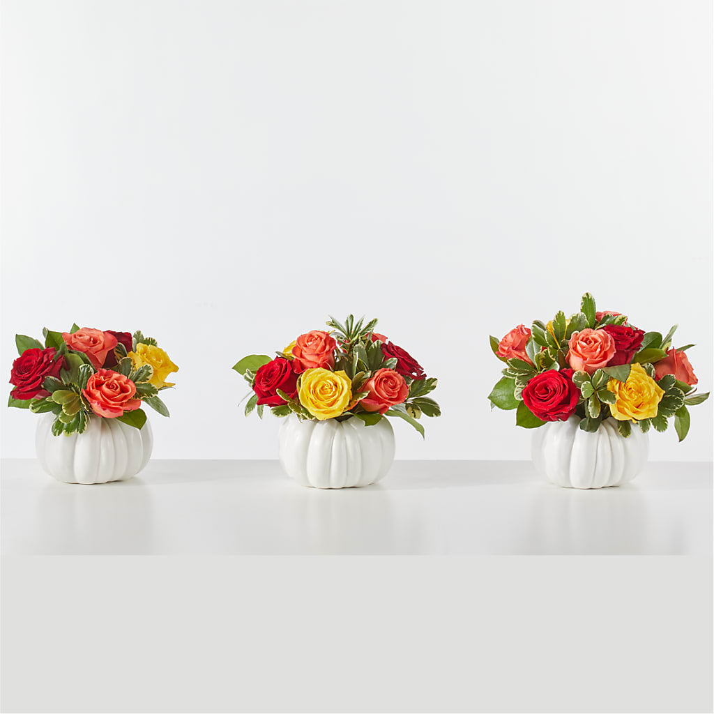 Gourd of Gratitude –  Blossom Street Florist, Lauderhill FL