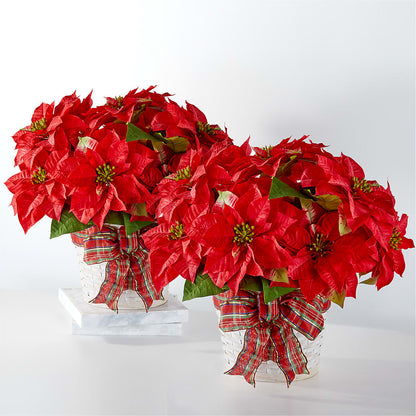 Happiest Holidays Poinsettia Bundle –  Blossom Street Florist, Lauderhill FL