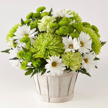 Lucky Charm Basket (Standard) –  Blossom Street Florist, Lauderhill FL