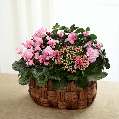 Pink Assortment –  Blossom Street Florist, Lauderhill FL