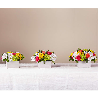 Sorbet Bouquet –  Blossom Street Florist, Lauderhill FL