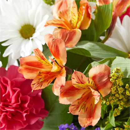 Oopsie Daisy Box Bouquet –  Blossom Street Florist, Lauderhill FL