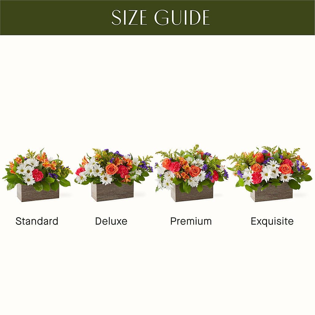 Oopsie Daisy Box Bouquet –  Blossom Street Florist, Lauderhill FL
