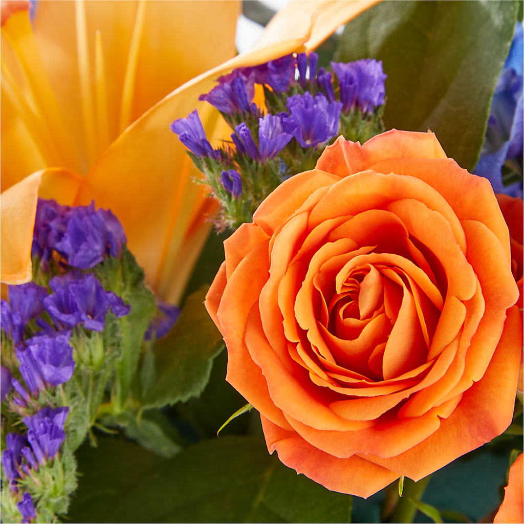 Radiant Citrus Box Bouquet –  Blossom Street Florist, Lauderhill FL