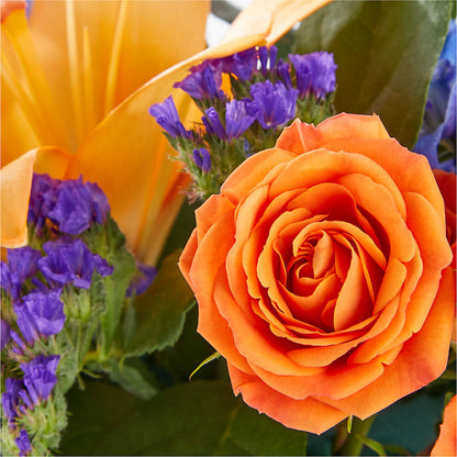 Radiant Citrus Box Bouquet –  Blossom Street Florist, Lauderhill FL