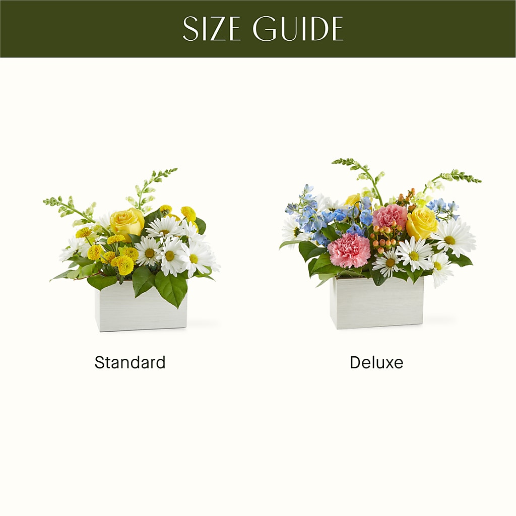 Sun Salutation Box Bouquet –  Blossom Street Florist, Lauderhill FL