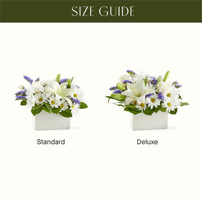 Beyond Blue Box Bouquet –  Blossom Street Florist, Lauderhill FL