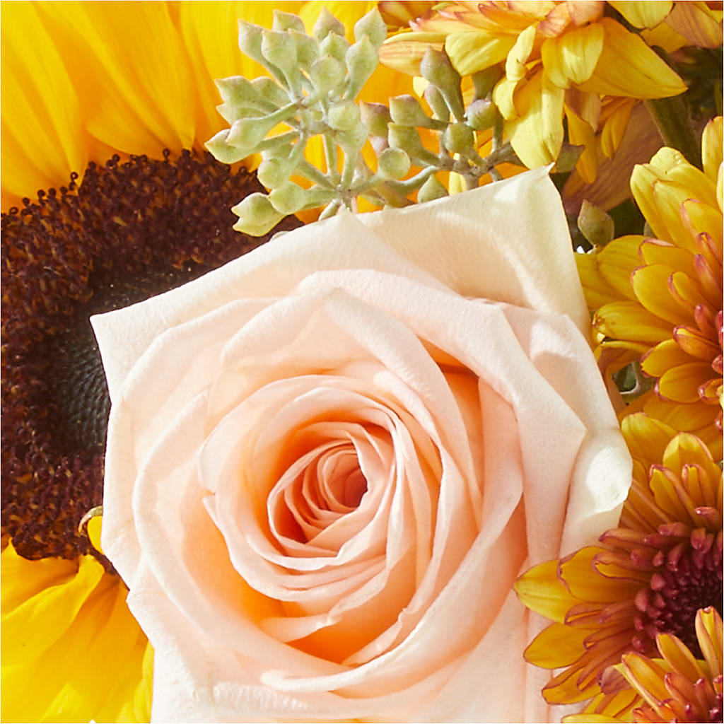 Pumpkin to Talk About Bouquet –  Blossom Street Florist, Lauderhill FL