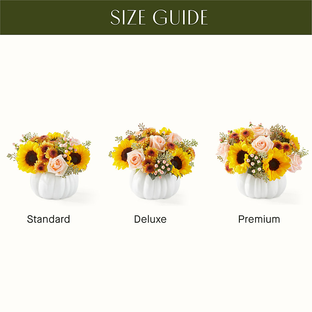 Pumpkin to Talk About Bouquet –  Blossom Street Florist, Lauderhill FL