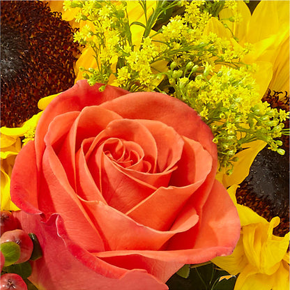 Pick of the Patch Pumpkin Bouquet –  Blossom Street Florist, Lauderhill FL