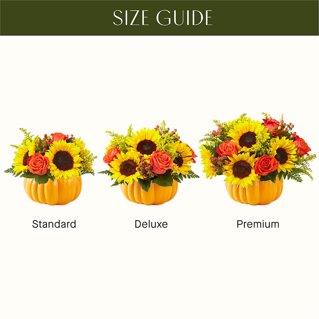 Pick of the Patch Pumpkin Bouquet –  Blossom Street Florist, Lauderhill FL