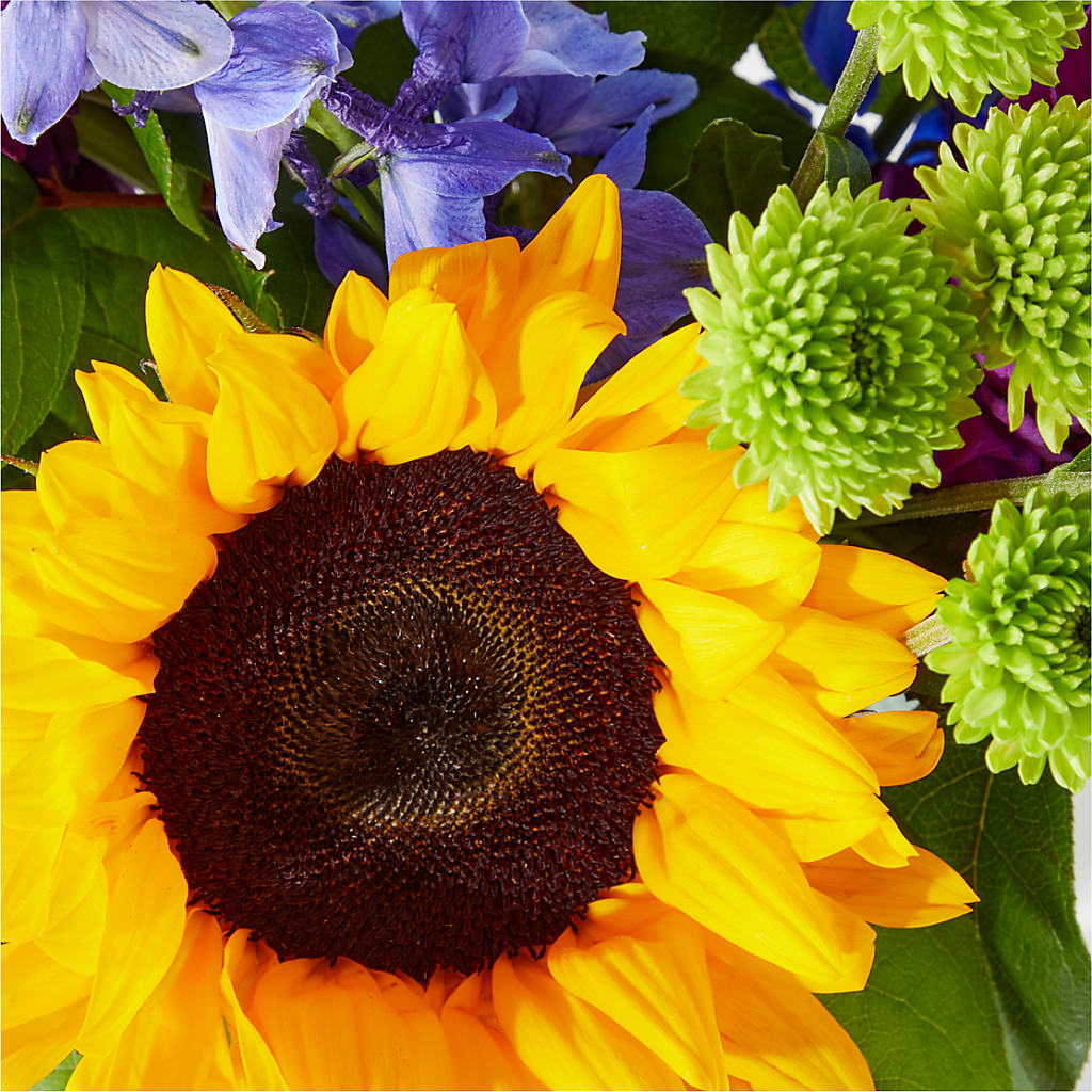 Catching Rays Bouquet –  Blossom Street Florist, Lauderhill FL