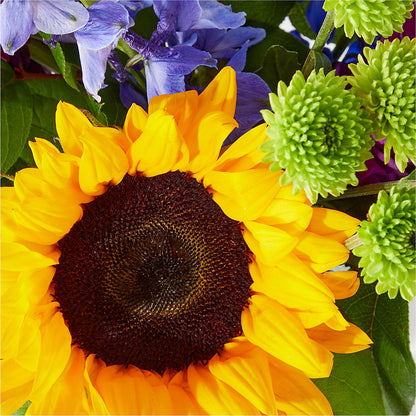 Catching Rays Bouquet –  Blossom Street Florist, Lauderhill FL