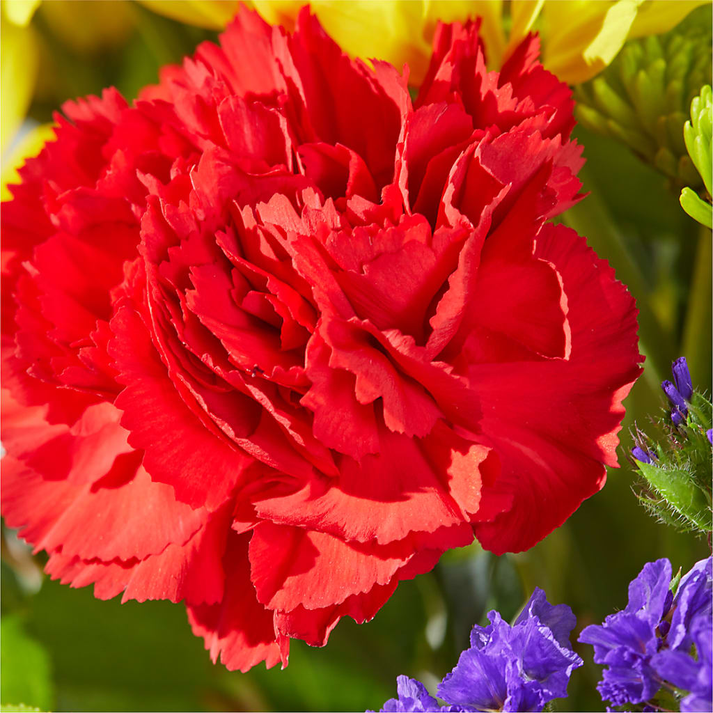 Brighter Days Bouquet –  Blossom Street Florist, Lauderhill FL