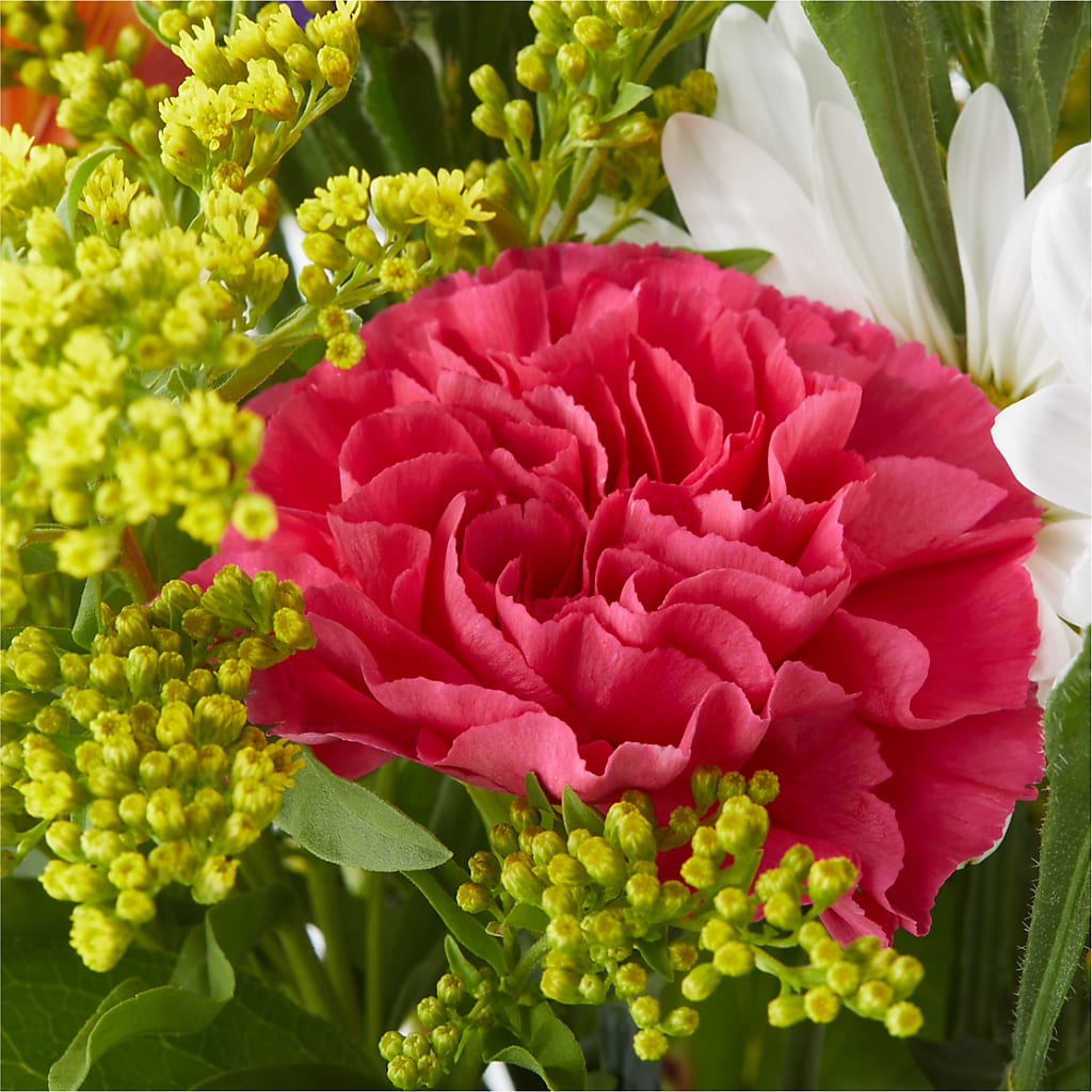 Oopsie Daisy Bouquet –  Blossom Street Florist, Lauderhill FL