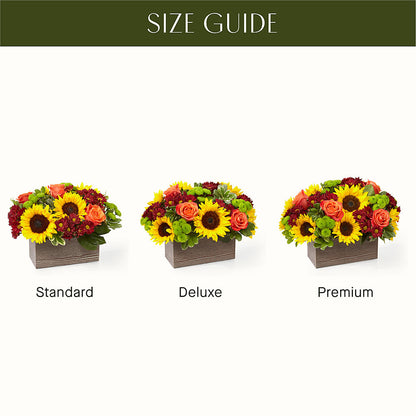 Happy Harvest Garden –  Blossom Street Florist, Lauderhill FL