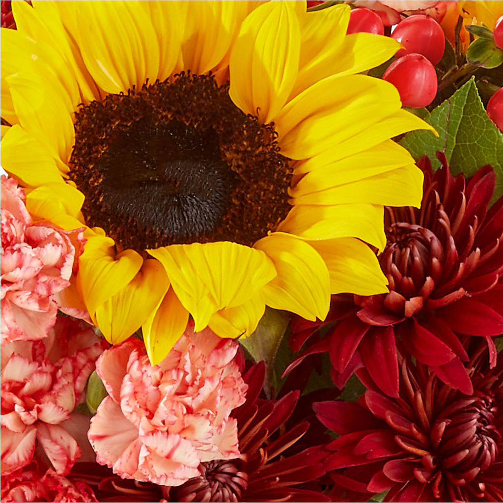 Fresh Cider Bouquet –  Blossom Street Florist, Lauderhill FL
