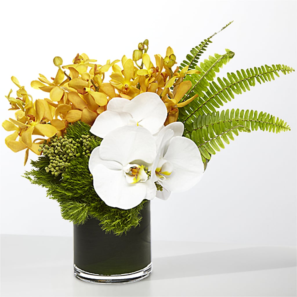 The Tropics –  Blossom Street Florist, Lauderhill FL