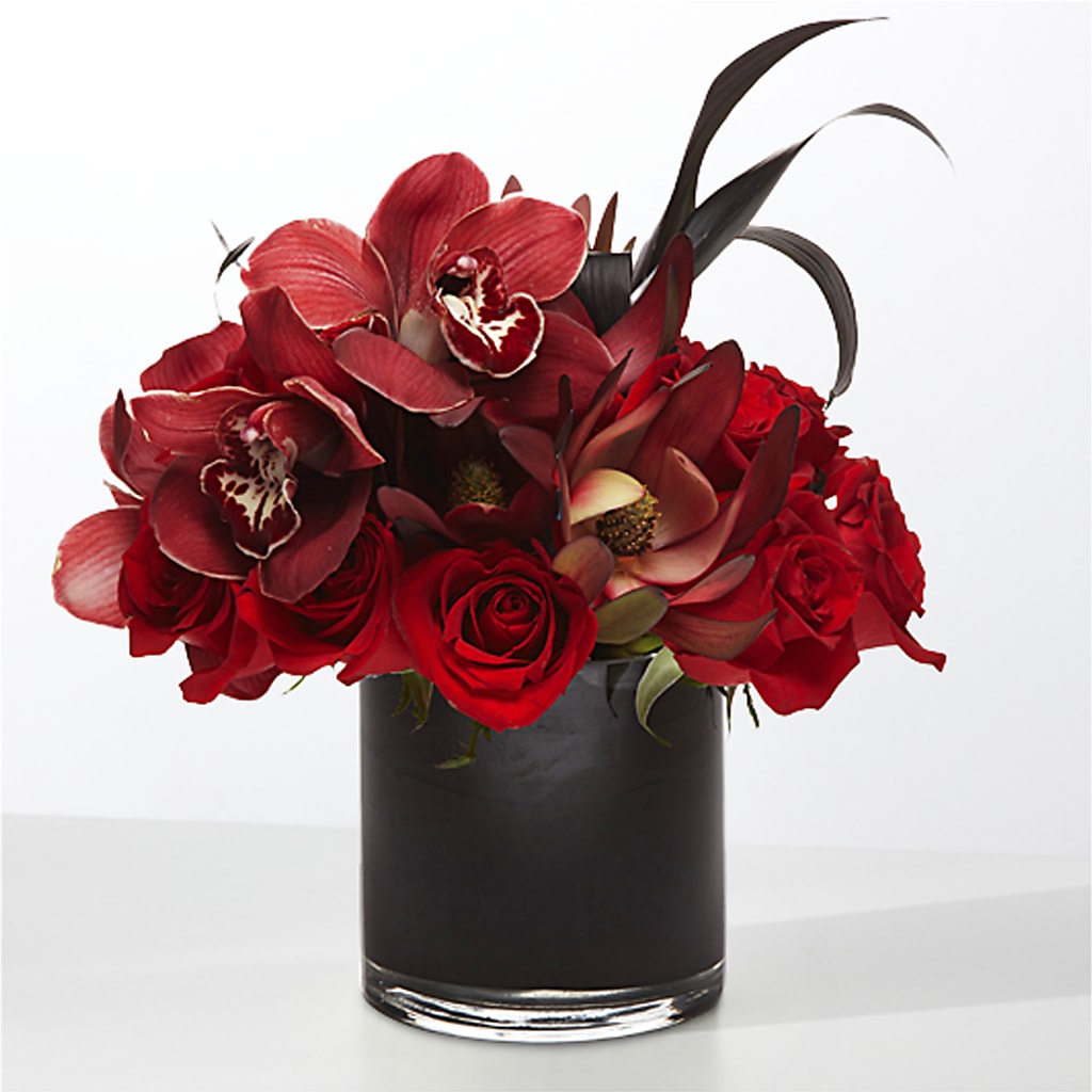 The Eclipse –  Blossom Street Florist, Lauderhill FL