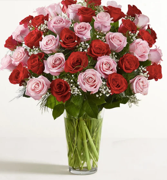 Long Stem Pink + Red Roses